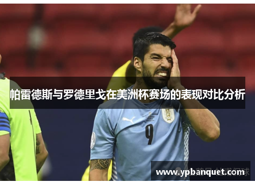 帕雷德斯与罗德里戈在美洲杯赛场的表现对比分析