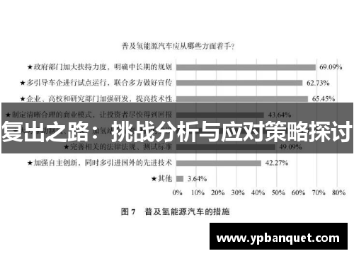 复出之路：挑战分析与应对策略探讨